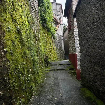 La Casa Del Calicanto Apartmán