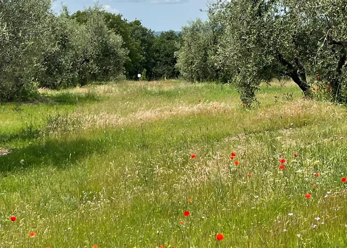 Lejlighed La Casa Del Calicanto *