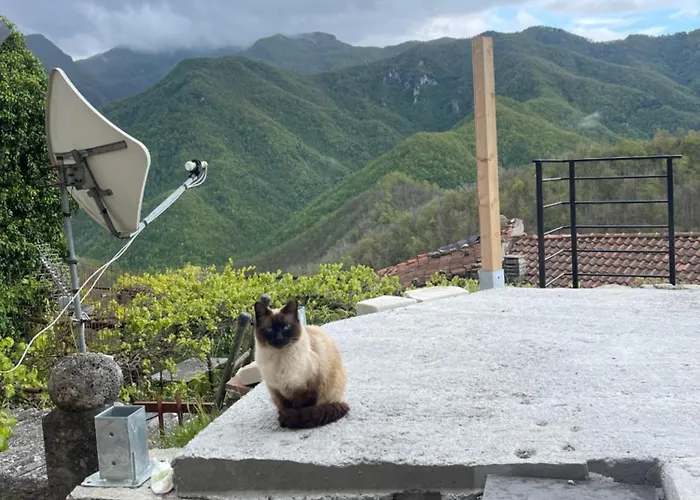 La Casa Del Calicanto